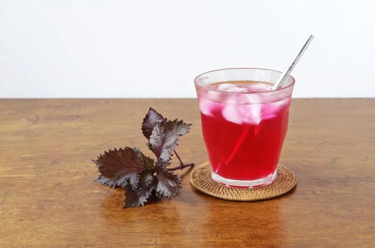 Biso 紫蘇酵素ドリンク
